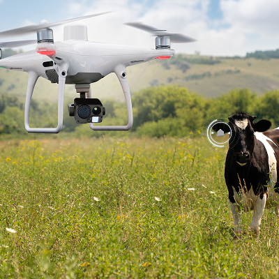 Livestock Monitoring & Management